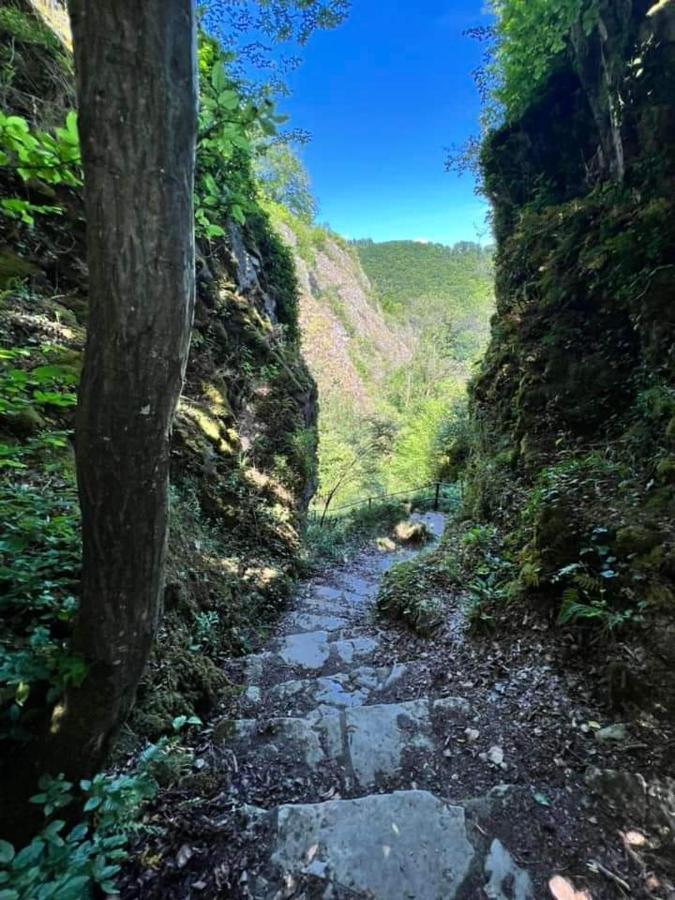 Vakantiestudio Ciney Chapois Bagian luar foto